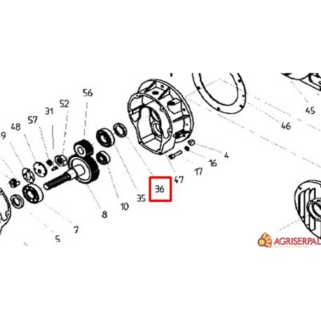 Nº 36 Rodamiento Para modelos Hertell KD