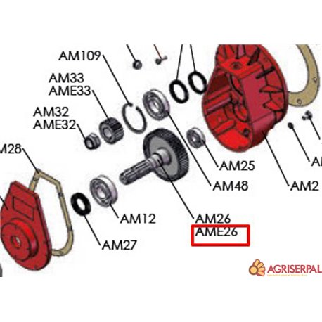 EJE PIÑON Z53 M2,5 (AME26)